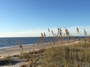 Beach Landscape - Social Media Break