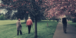 Elderly people walking in the park with canes