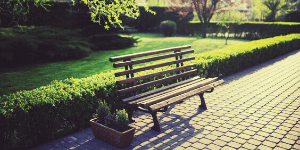 Park bench in a pretty outdoor area