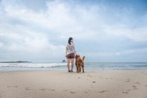 Woman on the beach with golden retriever looking at the ocean.
