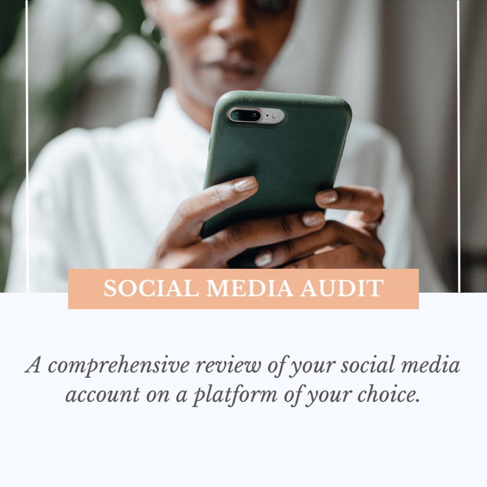 Cover image for social media audit in online shop