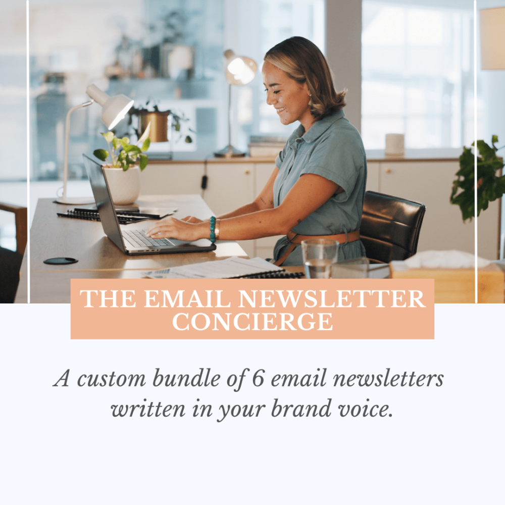 Product image for Email Newsletter Concierge custom email newsletter bundle