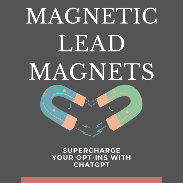 Magnetic Lead Magnets